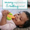 Picture of Infantino Lil' Nibbles Textured Silicone Baby Teether - Sensory Exploration and Teething Relief with Easy to Hold Handles, Orange Carrot, 0+ Months