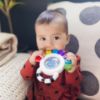 Picture of Baby Einstein Outstanding Opus The Octopus Sensory Rattle & Teether Multi-Use Toy, BPA Free & Chillable, 3 Months & up, Multicolored