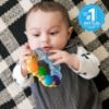Picture of Baby Einstein Teether-pillar Rattle and Chill Teething Toy, Ages 3 months +