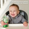 Picture of Beech-Nut Baby & Toddler Food Pouches with Iron & Zinc, Apple Blueberry & Spinach Puree, 3.5 oz (12 Pack)