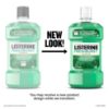 Picture of Listerine Freshburst Antiseptic Mouthwash for Bad Breath, Kills 99% of Germs That Cause Bad Breath & Fight Plaque & Gingivitis, ADA Accepted Mouthwash, Spearmint, 1 L