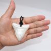 Picture of Shark Tooth Chewy Necklace Sensory for Kids and Adults, Silicone Chew Necklace Autism Chew Toys for Boys Girls with ADHD Anxiety SPD, 3 Pack Chewing Necklace Autism Sensory Toys