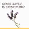 Picture of Burt's Bees Baby Calming Shampoo and Wash with Lavender, Tear-Free, 12 Fluid Ounces