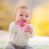 Picture of Infantino Water Teethers - Sensory Exploration and Teething Relief, Cooling Relief for Teething Babies, Lime & Pink, 3-Pack