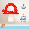 Picture of RaZbaby Chompy Teether - Soft Silicone Teething Toy for Infants & Babies 3M+, Massaging Bristles for Teething Relief, Hands-Free & Easy to Hold, Sensory Development, BPA-Free - Great Gift - Red/Green