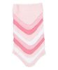Picture of Spasilk Washcloth Wipes Set for Newborn Boys and Girls, Soft Terry Washcloth Set, Pack of 20, Pink