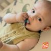 Picture of RaZbaby Soft Silicone Infant & Baby Teether, Berrybumps Textured Teething Relief Pacifier 3M+, Soothes Gums, Hands-Free & Easy-to-Hold Fruit-Shaped RaZberry Design, BPA Free, 2-Pack - Pink/White