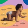 Picture of Hello Bello Premium Baby Diapers Size 2, 30 Count of Disposable, Extra-Absorbent, Hypoallergenic Diapers with Snug and Comfort Fit, Sleepy Sloth