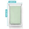 Picture of American Baby Company 3 Pack Fitted Mini Crib Sheet 24" x 38", Soft Breathable Neutral 100% Cotton Jersey Portable Sheet, Celery, for Boys and Girls, Fits Most Pack N Play Mattresses