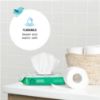 Picture of Amazon Brand - Mama Bear Fragrance Free Hypoallergenic Flushable Toddler Toilet Wipes, 336 Count (8 Packs of 42)