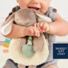 Picture of Itzy Ritzy - Itzy Lovey Including Teether - Baby Lovey with Teether, Textured Ribbons & Dangle Arms - Features Crinkle Sound, Sherpa Fabric and Minky Plush (Taupe Bunny)