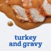 Picture of Gerber Stage 2 Baby Food, Turkey and Gravy Jar, Baby Food Poultry Puree, Baby Mealtime, Baby Puree Jars Glass, 10-Pack
