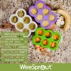 Picture of WeeSprout Silicone Freezer Tray with Clip on Lid Perfect Food Storage Container for Homemade Baby Food, Vegetable, Fruit Purees, and Breast Milk (Bright Purple, Six 3 Ounce Sections)