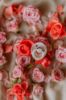 Picture of BIBS Pacifiers 0-6 Months | Pack of 2 Premium Soothers | BPA-Free Round Nipple | Made in Denmark | Blossom/Candy Apple Pacifier
