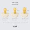 Picture of BIBS Colour Pacifier 2-Pack, BPA Free Dummy Binky, Round Nipple. Natural Rubber Latex, Made in Denmark, Size 1 (0-6 Months), Mushroom/Breeze