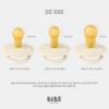 Picture of BIBS Pacifiers | Natural Rubber Baby Pacifier | Set of 2 BPA-Free Soothers | Made in Denmark | Sage/Cloud 0+ Months (Pack of 2)
