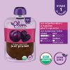 Picture of Plum Organics Stage 1 Organic Baby Food, Prune Puree, 3.5 Ounce Pouch (Pack of 12)