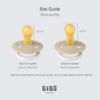 Picture of BIBS Colour Night Glow in The Dark Soother 2-Pack, BPA Free Dummy Pacifier, Round Nipple. Natural Rubber Latex, Made in Denmark, Size 1 (0-6 Months), Sand Glow/Iron Glow