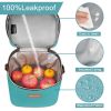 Picture of Breastmilk Cooler Bag with Ice Pack, Mancro Insulated Baby Bottle Tote Bag Fits up to 6 Bottles of up to 9 Ounces, Baby Bottle Bag for Nursing Mothers, Green