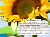 Picture of Babo Botanicals Sheer Mineral Sunscreen Lotion SPF 50 - Natural Zinc Oxide - Extra Sensitive Skin - Lightweight - Water Resistant - Fragrance-Free - EWG Verified- Sheer application
