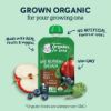 Picture of Gerber Organic Baby Food Pouches, 2nd Foods for Sitter, WonderFoods, Pear Mango Avocado, 3.5 Ounce (Pack of 12)