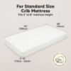 Picture of KeaBabies 2-Pack Organic Crib Sheets for Boys, Girls - 52x28 Fitted Crib Mattress Sheet Neutral, Breathable Jersey Cotton Cover for Baby Bed, Toddler Mattress, Soft & Cute Prints (Tropic Oasis)