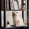 Picture of Kasa Indoor Pan/Tilt Smart Security Camera, 1080p HD Dog-Camera,2.4GHz with Night Vision,Motion Detection for Baby and Pet Monitor, Cloud & SD Card Storage, Works with Alexa& Google Home (EC70), White