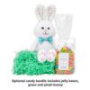 Picture of Let's Make Memories Personalized Easter Basket for Kids - For Boys and Girls - Plush Furry Critter - Custom Name - Fillable - With Optional Easter Basket Stuffers - Blue Bunny