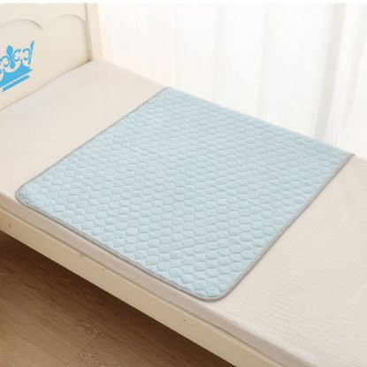 Picture of BlueSnail Washable Underpads,Waterproof,Soft, Portable and Reusable Incontinence Pads for Toddler,Adults,Elderly and Pets (34"x36" Pack of 2)(Lake Blue)