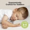 Picture of 2-Pack Toddler Pillow 13x18 - Soft Organic Cotton Kids Travel Bed Pillows for Sleeping, School, Nap, Machine Washable, Toddlers 2 to 5, Pillowcase Sold Separately (Wild Horns)
