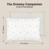 Picture of 2-Pack Toddler Pillow 13x18 - Soft Organic Cotton Kids Travel Bed Pillows for Sleeping, School, Nap, Machine Washable, Toddlers 2 to 5, Pillowcase Sold Separately (Wild Horns)