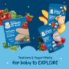 Picture of Gerber Baby Food, Baby Snacks, Discovery Pack, Teethers Strawberry Apple Spinach (2) and Yogurt Melts Mixed Berries (2) Peach (2), Crawler (8+ Months) Variety Pack (Pack of 6)