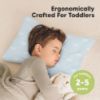 Picture of KeaBabies 2-Pack Toddler Pillow 13x18 - Soft Organic Cotton Kids Travel Bed Pillows for Sleeping, School, Nap, Machine Washable, Toddlers 2 to 5, Pillowcase Sold Separately (Pastel Rainbow)