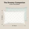 Picture of KeaBabies 2-Pack Toddler Pillow 13x18 - Soft Organic Cotton Kids Travel Bed Pillows for Sleeping, School, Nap, Machine Washable, Toddlers 2 to 5, Pillowcase Sold Separately (Planes)