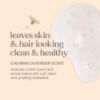 Picture of Burt's Bees Baby Shampoo and Body Wash with Lavender, Calming Tear Free Baby Soap, 98% Natural Origin, 12 Fl Oz (Pack of 3)