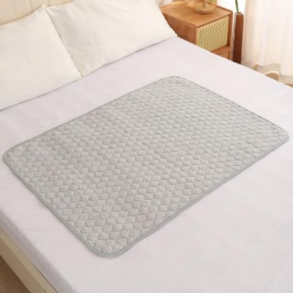 Picture of BlueSnail Washable Underpads,Waterproof,Soft, Portable and Reusable Incontinence Pads for Toddler,Adults,Elderly and Pets (31" x 40" Pack of 2)(Gray)