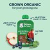 Picture of Gerber Organic Baby Food Pouches, 2nd Foods for Sitter, Fruit & Veggie Variety Pack, 3.5 Ounce (Set of 18)