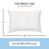 Picture of Little Sleepy Head Toddler Pillow with Pillowcase 13x18, Kids Pillow for Sleeping, Toddler Pillow 2 Year Old, Better Neck Support Ergonomic Pillow and Toddler Pillowcase, Best Pillows for Kids (Blue)