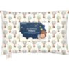 Picture of Toddler Pillow with Pillowcase - 13x18 My Little Dreamy Kids Travel Bed Pillows for Sleeping, Organic Cotton Small Pillowcase, Soft & Breathable, Machine Washable, Toddlers 2-5 (Hot Air Balloon)