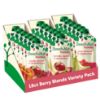 Picture of Beech-Nut Baby Food Pouches Variety Pack, Berry Blends Fruit Purees, 3.5 oz (18 Pack)