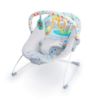 Picture of Bright Starts Baby Bouncer Soothing Vibrations Infant Seat - Removable -Toy Bar, Nonslip Feet, 0-6 Months Up to 20 lbs (Safari Fun)