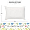 Picture of Youth Pillow with Pillowcase 16x22, Soft Jumbo Toddler Pillow, Kids Pillow & Hypoallergenic Pillow Case - Best Kids Pillows for Sleeping, Perfect Kids Travel Pillow (Dinosaurs White)
