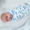 Picture of HALO Micro-Fleece Sleepsack Swaddle, 3-Way Adjustable Wearable Blanket, TOG 3.0, Dinos, Newborn, 0-3 Months