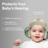 Picture of Alpine Muffy Baby Ear Protection for Babies and Toddlers up to 36 Months - CE & ANSI Certified - Noise Reduction Earmuffs - Comfortable Baby Headphones Against Hearing Damage & Improves Sleep - Black