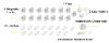 Picture of Vmaisi Baby Proofing Magnetic Cabinet Locks (15 Locks and 2 Keys)
