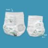 Picture of Hello Bello Training Pants Club Box, Bedtime Stories and Space Travelers 2T-3T, 84 Count Multicolor