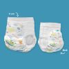 Picture of Hello Bello Training Pants Club Box, Bedtime Stories and Space Travelers 2T-3T, 84 Count Multicolor