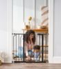 Picture of Regalo Easy Step 38.5-Inch Wide Walk Thru Baby Gate, Includes 6-Inch Extension Kit, Pressure Mount Kit, Wall Cups, Black