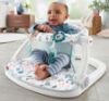 Picture of Fisher-Price Portable Baby Chair Sit-Me-Up Floor Seat With Developmental Toys & Machine Washable Seat Pad, Pacific Pebble