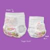 Picture of Hello Bello Premium Training Pants, Size 4T-5T (38 lbs) in Sugar Rush and Tea Time Designs, 69 Count